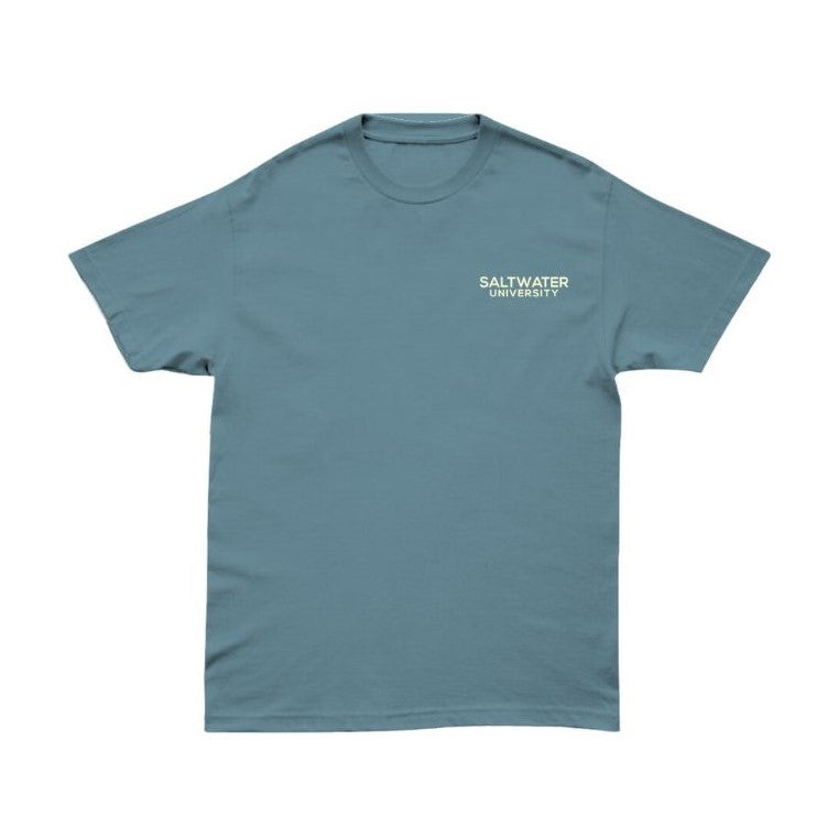 Saltwater University - Dusty teal